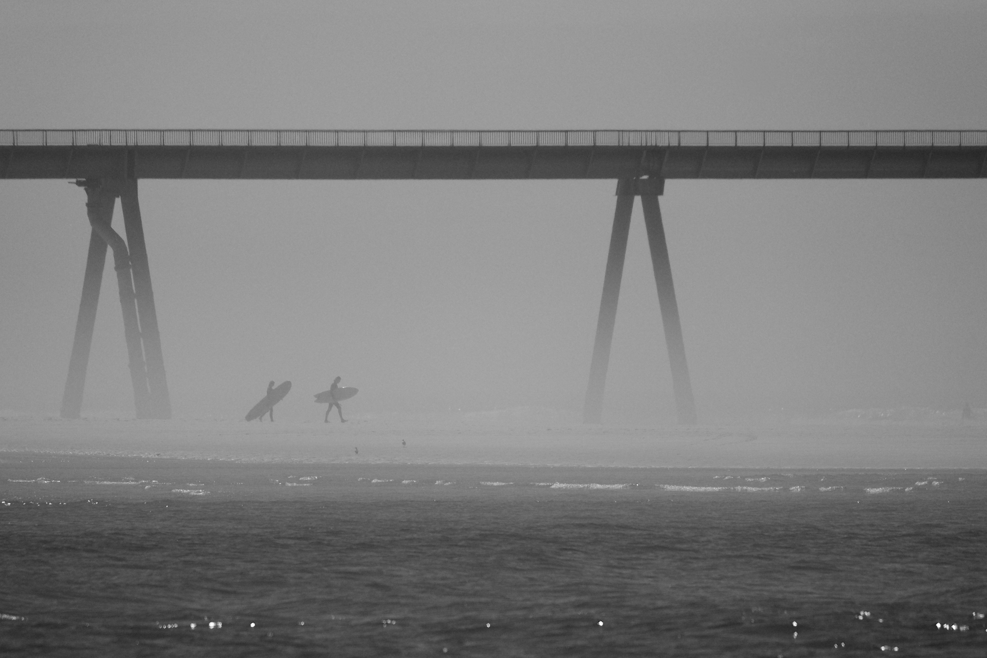 Surf